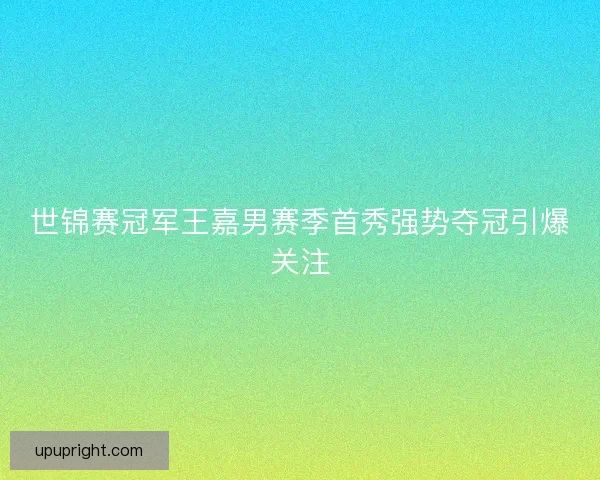 世锦赛冠军王嘉男赛季首秀强势夺冠引爆关注 世锦赛冠军王嘉男赛季首秀强势夺冠引爆关注