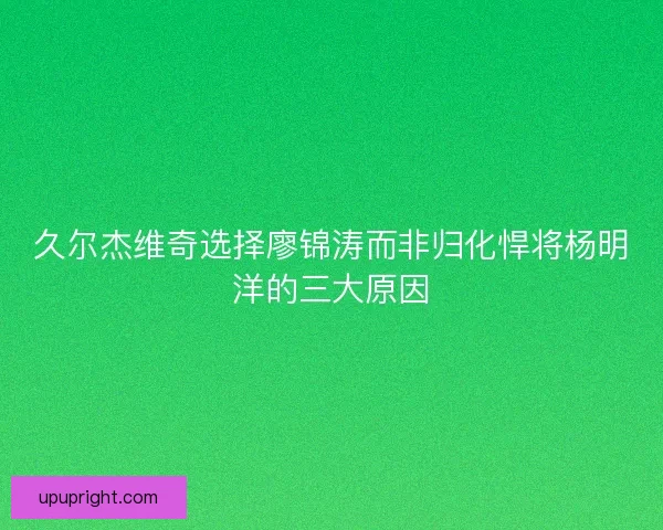 久尔杰维奇选择廖锦涛而非归化悍将杨明洋的三大原因 久尔杰维奇选择廖锦涛而非归化悍将杨明洋的三大原因